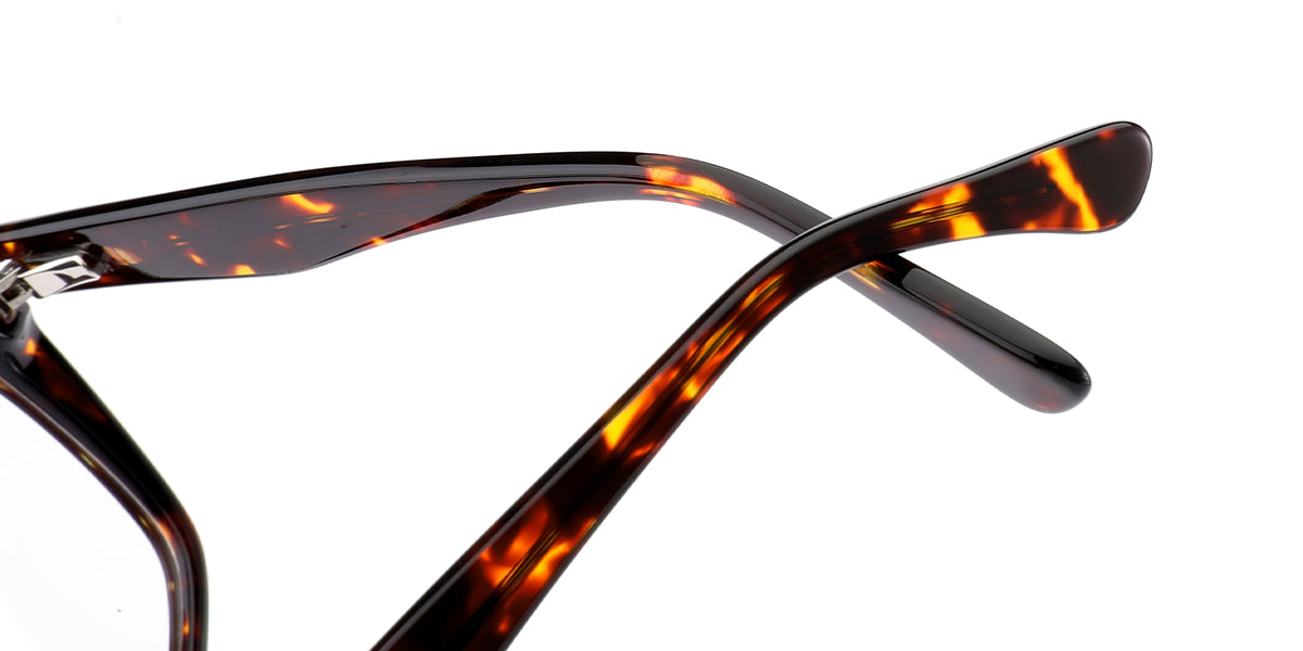 Tivoli – Tortoiseshell Glasses