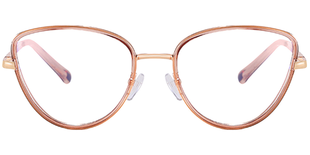 Havana – Gradient Brown Glasses