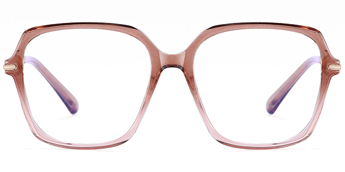 Novara – Gradient Brown Glasses