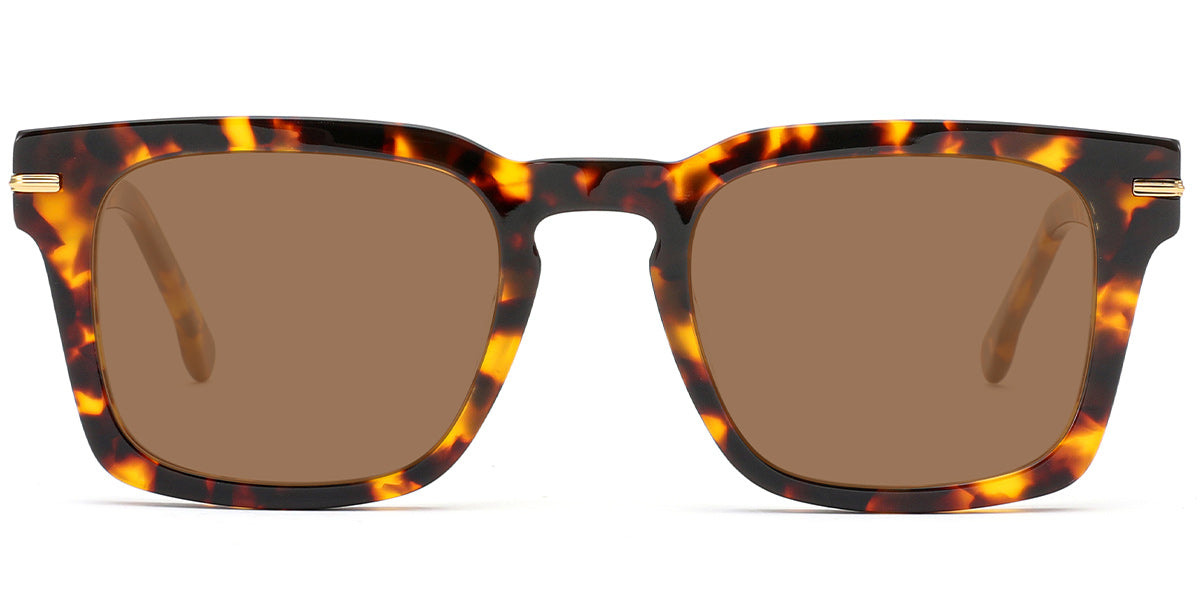 Colombo – Tortoiseshell Sunglasses