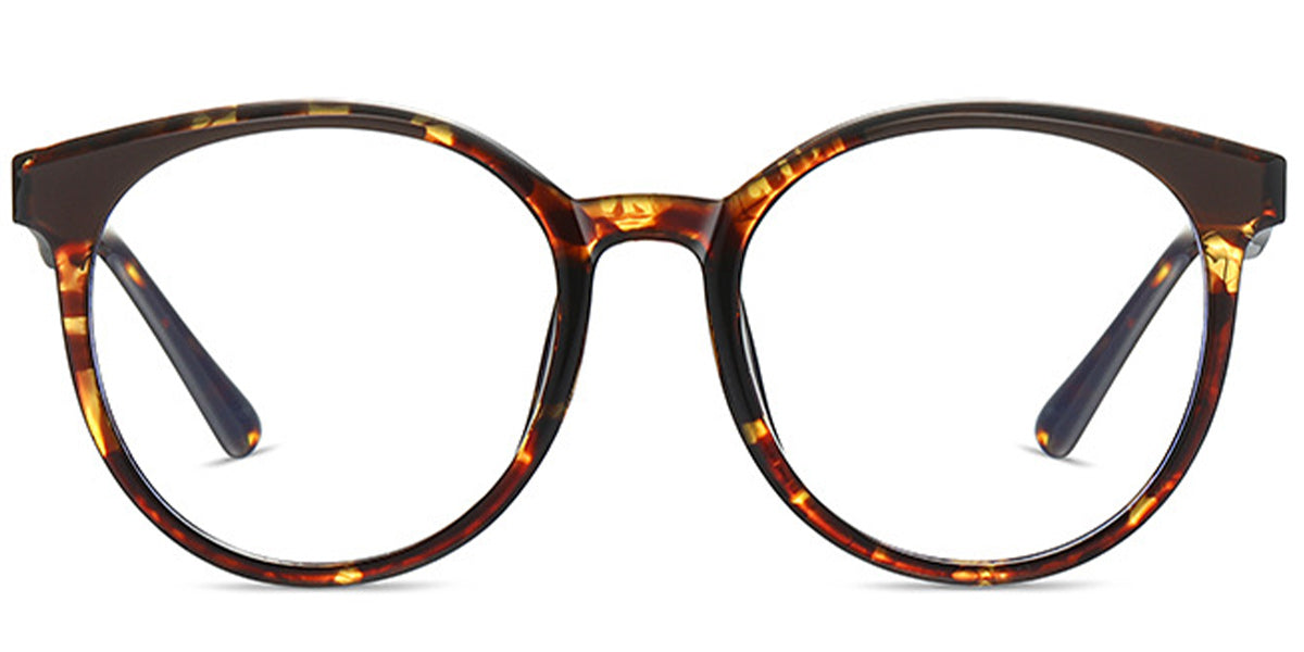 Ancona – Tortoiseshell Glasses