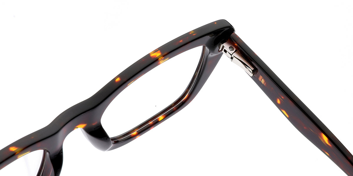 Tivoli – Tortoiseshell Glasses