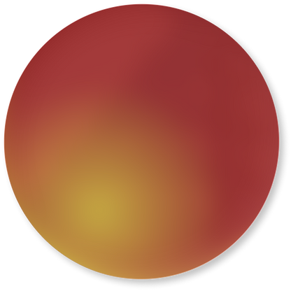 Polarized Lenses