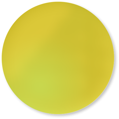 Polarized Lenses